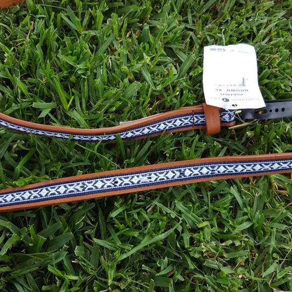 l p blue belt🌷 - Picture 3 of 3